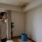 大阪で漏水後にカビが出たら｜乾燥と原状回復の順序