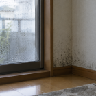黴（カビ）とは？発生条件と住まいでの対処を解説