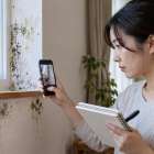 家庭のカビは色で危険度を決めない｜確認と対処の順序