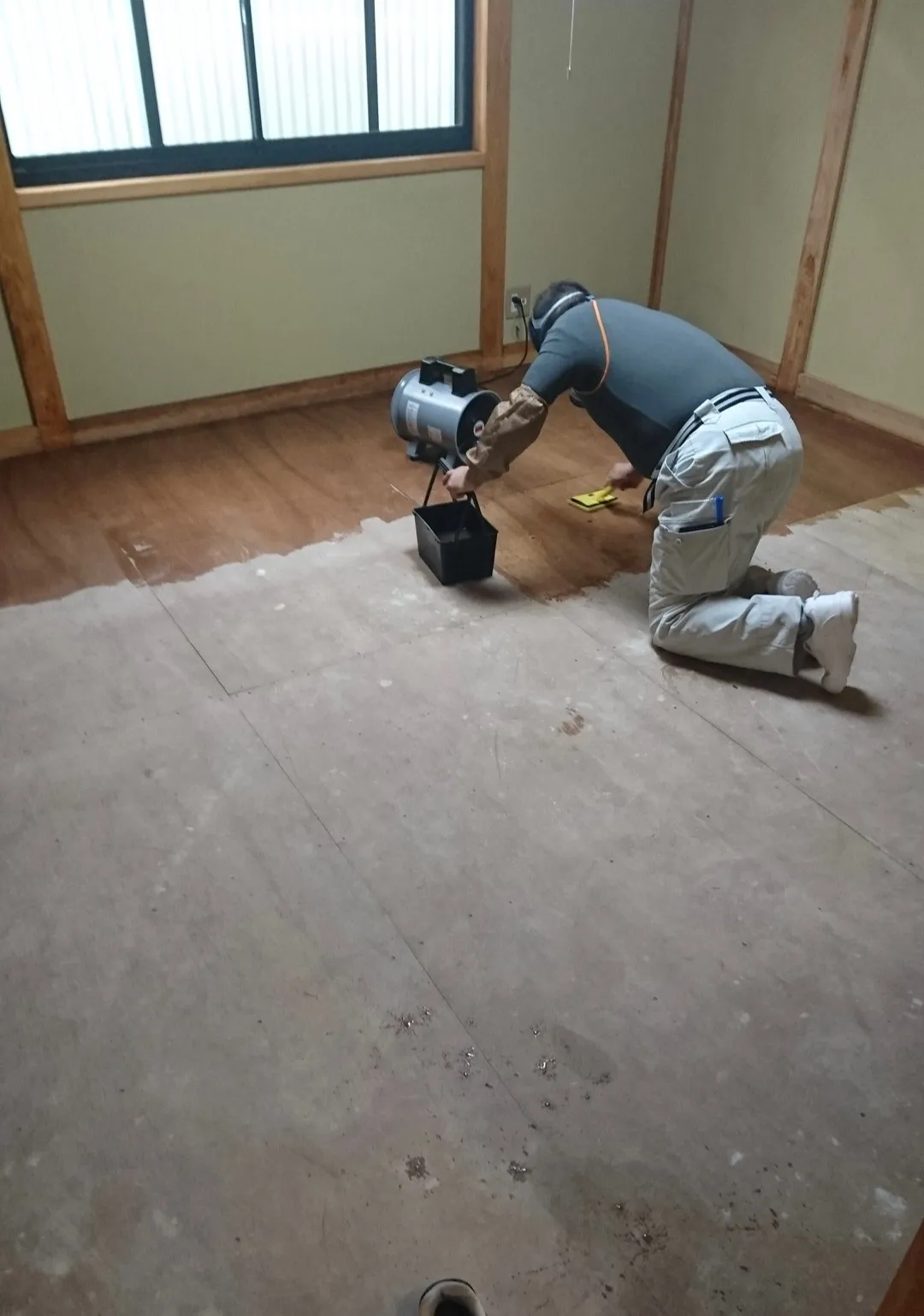 関西地方大阪の和室のカビ取り・カビ対策
