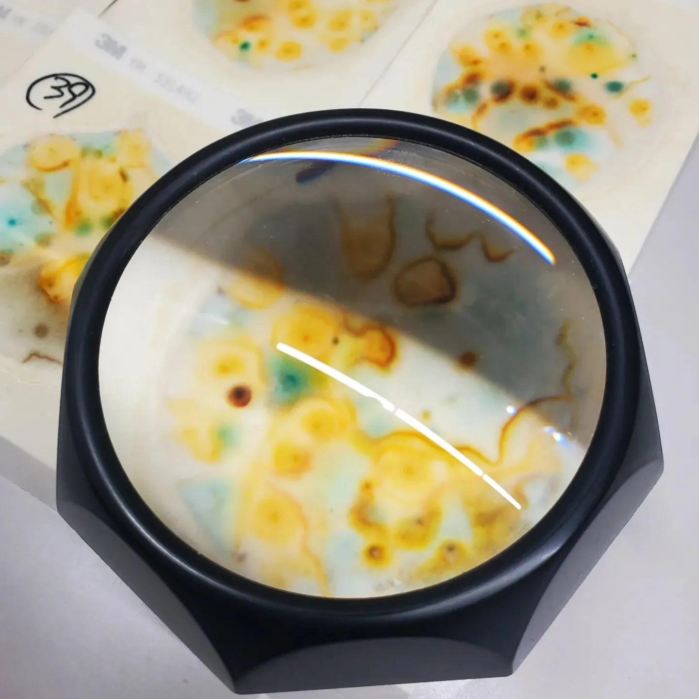 愛知県小牧市のカビ被害に即効対応！MIST工法®カビバスターズが解決策をご提案