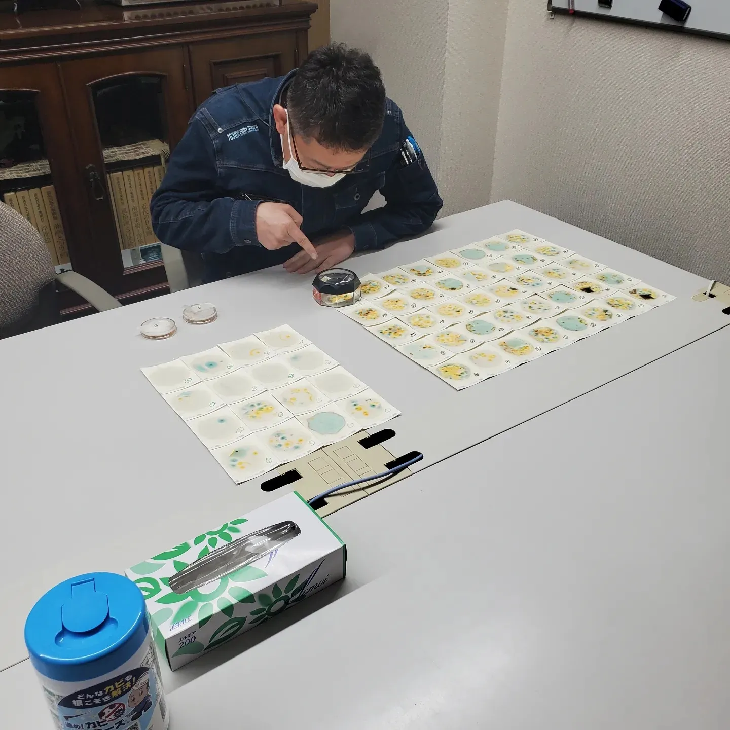 真菌症と住環境（空気質）：健康に影響を及ぼす微生物の見えない脅威