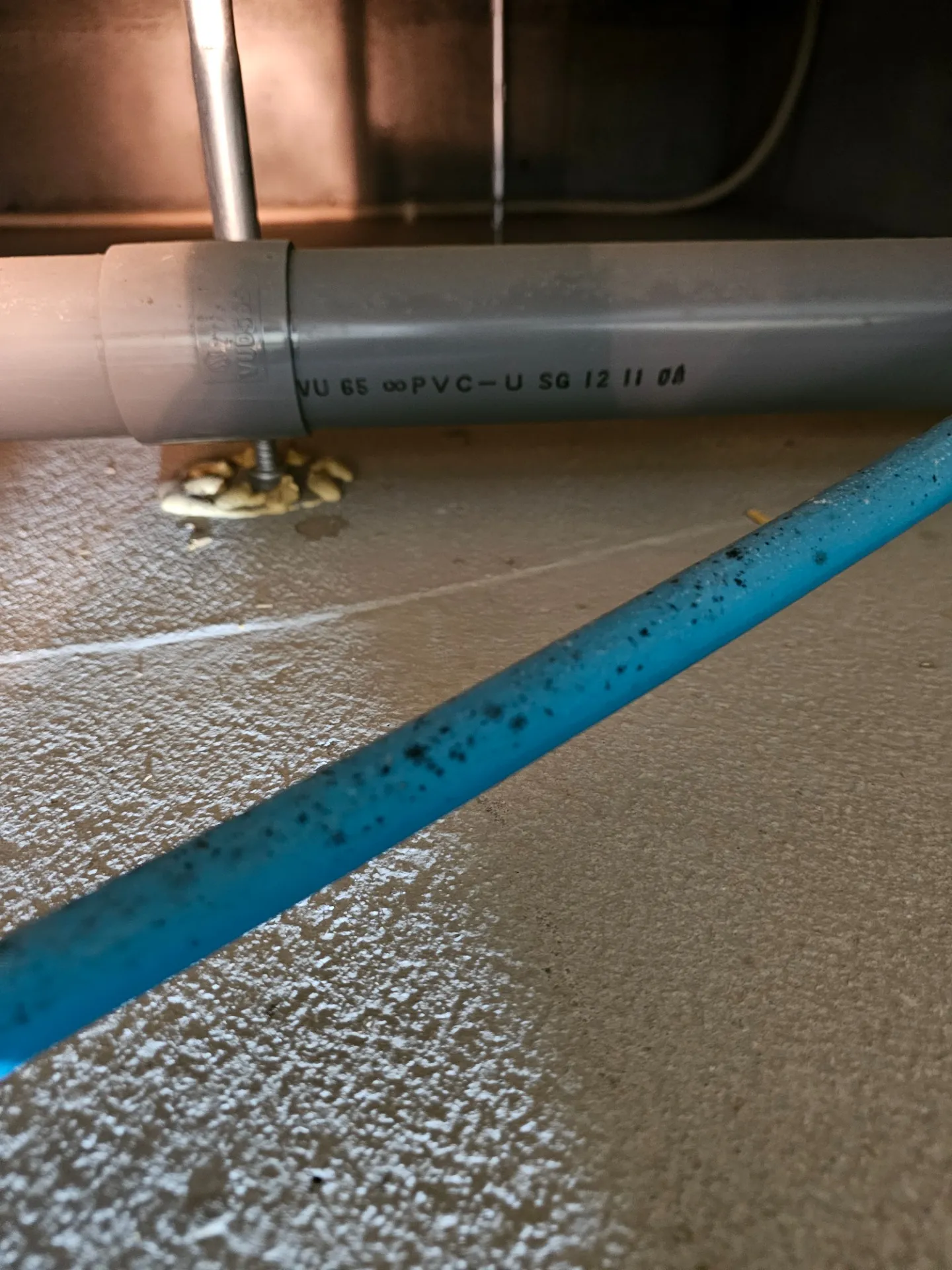 洗面台下のカビ臭トラブル徹底解決！MIST工法®カビバスターズが教える快適対策