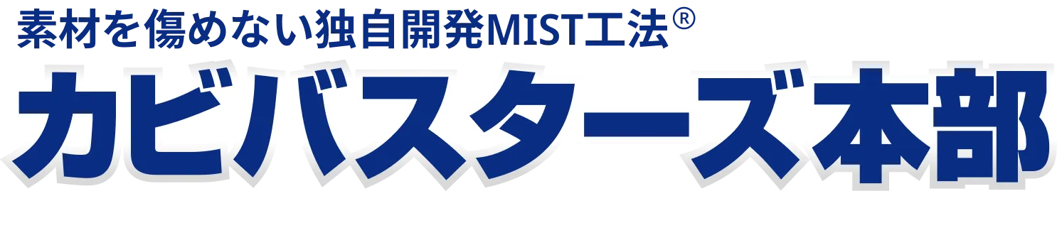 熊本県の潜在的カビ問題とその解決策