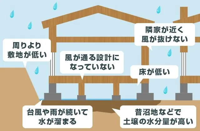 【床下のカビトラブル完全対策】見えない床下のカビが家族の健康と住宅寿命を脅かす！原因調査から再発防止まで徹底解説