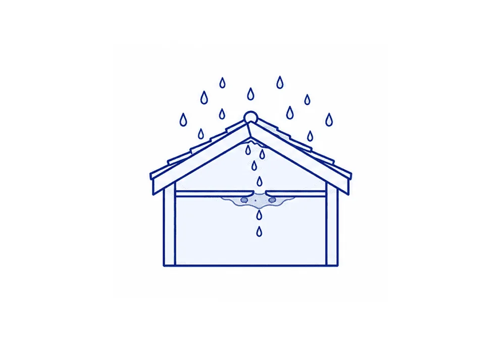 雨漏りによるカビ